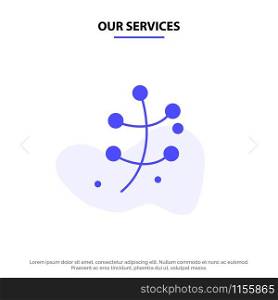 Our Services Growth, Leaf, Plant, Spring Solid Glyph Icon Web card Template