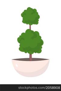 Outdoor decorative tree semi flat color vector object. Realistic item on white. Houseplan in pot. Gardening isolated modern cartoon style illustration for graphic design and animation. Outdoor decorative tree semi flat color vector object