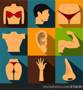 Outer part of body icons set. Flat illustration of 9 outer part of body vector icons for web. Outer part of body icons set, flat style