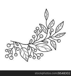 Outline Branch with Christmas berries and leaves. Linear hand drawing. Vector illustration. Xmas design, decorating
