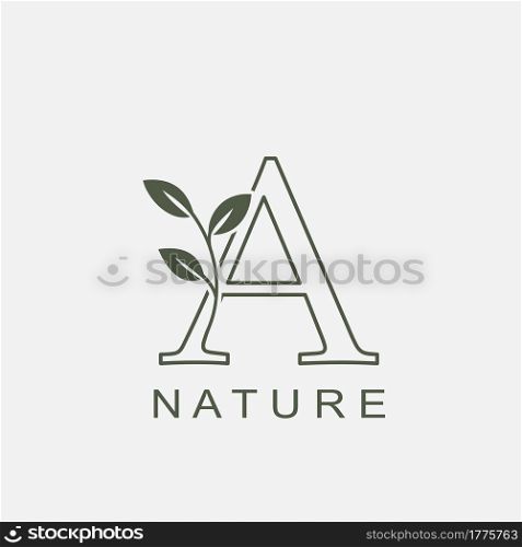 Outline Initial Letter A Nature Leaf logo icon vector design concept luxury floral leaf .