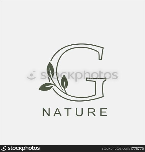 Outline Initial Letter G Nature Leaf logo icon vector design concept luxury floral leaf .