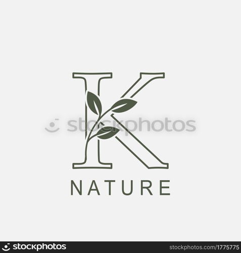 Outline Initial Letter K Nature Leaf logo icon vector design concept luxury floral leaf .