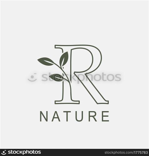 Outline Initial Letter R Nature Leaf logo icon vector design concept luxury floral leaf .
