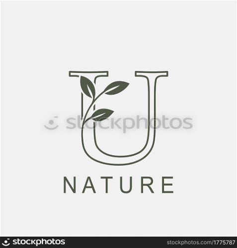 Outline Initial Letter U Nature Leaf logo icon vector design concept luxury floral leaf .