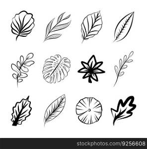 Outline leaves icon set, isolated vector herbal botanical plant collection, doodle drawing graphic design element, logo sketch template. Leaf tree branch elegant print.