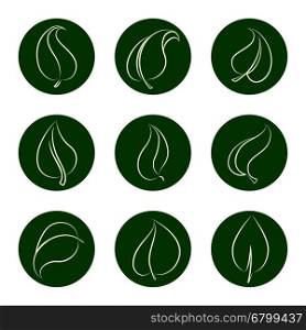 Outline leaves icons on green backgrop. Eco icon set vector illustration. Outline leaves icons on green backgrop