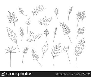Outline leaves isolated. Vector set of plant decorative elements on white background. Simple hand drawn line objects for floral designs.. Outline leaves isolated. Vector set of plant decorative elements on white background. Simple hand drawn line objects for floral designs