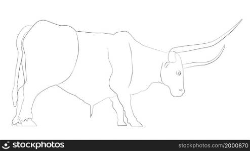 Outline of bull with large horns isolated on white. Vector illustration.. Outline of bull with large horns isolated on white.