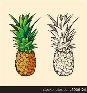 Outline pineapple and color cartoon vector illustration. Outline pineapple and color cartoon pineapple with green leaves vector illustration