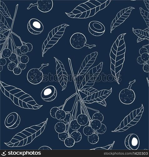 Outline seamless pattern with longan fruit. Branch, leaves and half-vault of longan isolated on dark blue background. Trendy vector illustration for print,textile,wrapping paper,web.. Outline seamless pattern with longan fruit. Branch, leaves and half-vault of longan isolated on dark blue background.