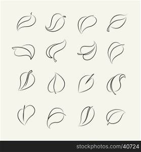 Outline sketch leaf set. Outline sketch leaf set. Vector eco leaves pictograms