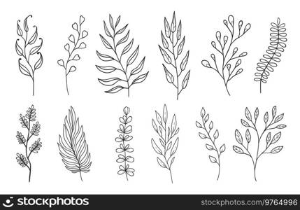 Outline twigs and sprigs floral embellishments. Linear isolated vector plant branches with leaves, monochrome forest herbs, natural elements for design of wedding cards and invitations. Outline twigs and sprigs floral embellishments