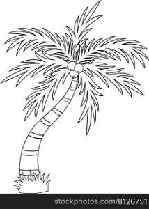 Outlined Cartoon Tropical Palm Tree With Crown Of Leaves And Coconut Fruits. Vector Hand Drawn Illustration Isolated On White Background