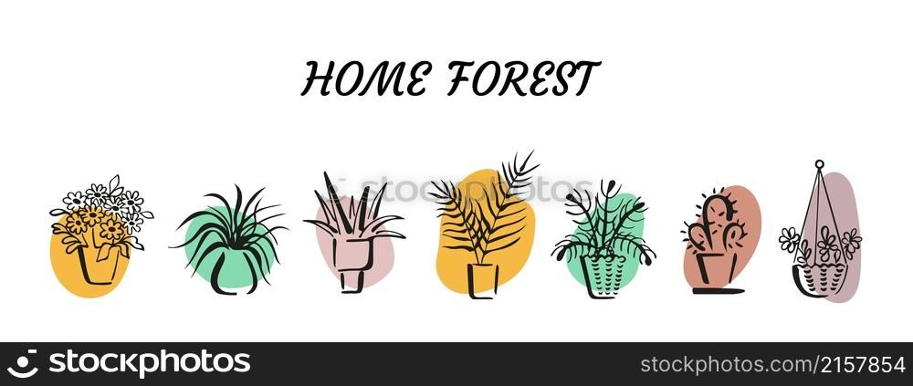 Outlines of various potted room plants on colour spots backgrounds. Sketchy home decorative plants. Collection of doodle design elements. Brush calligraphy sketches of indoor plants in pots. Set of doodles on colourful backgrounds