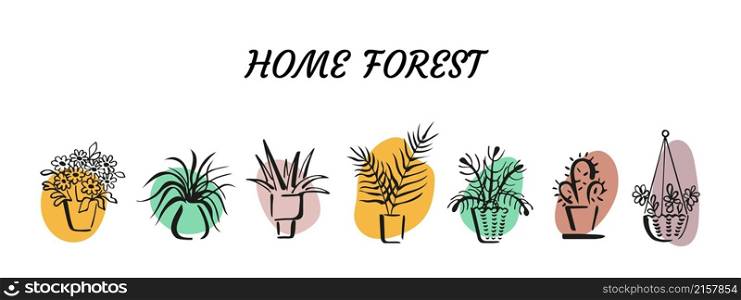 Outlines of various potted room plants on colour spots backgrounds. Sketchy home decorative plants. Collection of doodle design elements. Brush calligraphy sketches of indoor plants in pots. Set of doodles on colourful backgrounds