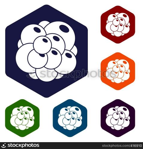 Ovary icons set rhombus in different colors isolated on white background. Ovary icons set