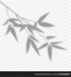 Overlay shadow of bamboo branch. Leaves of plants reflection on transparent background. Blured silhouette of foliage. Vector illustration. EPS10.. Overlay shadow of bamboo branch. Leaves of plants reflection on transparent background. Blured silhouette of foliage. Vector illustration. EPS10