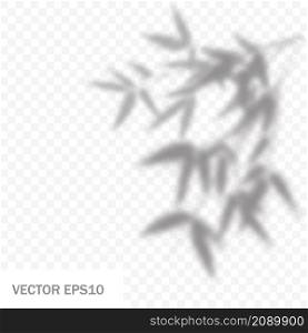 Overlay shadow of bamboo branch. Leaves of plants reflection on transparent background. Blured silhouette of foliage. Vector illustration. EPS10.. Overlay shadow of bamboo branch. Leaves of plants reflection on transparent background. Blured silhouette of foliage. Vector illustration. EPS10