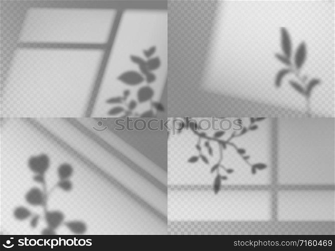 Overlay window shadows. Realistic leaves and window frames monochrome natural lighting transparent soft light natural effects vector wall indoor abstract plant set. Overlay window shadows. Realistic leaves and window frames monochrome natural lighting transparent soft light natural effects vector set