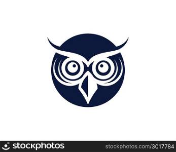 owl bird illustration logo template vector icon
