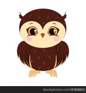 owl bird vector illustration