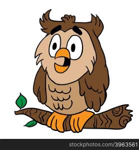 owl cartoon illustration