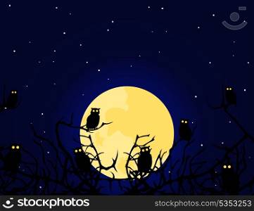 Owl. Owls sit on a tree at night. A vector illustration