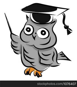Owl with hat, illustration, vector on white background.