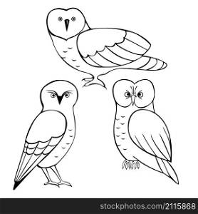 Owls set. Vector illustration.