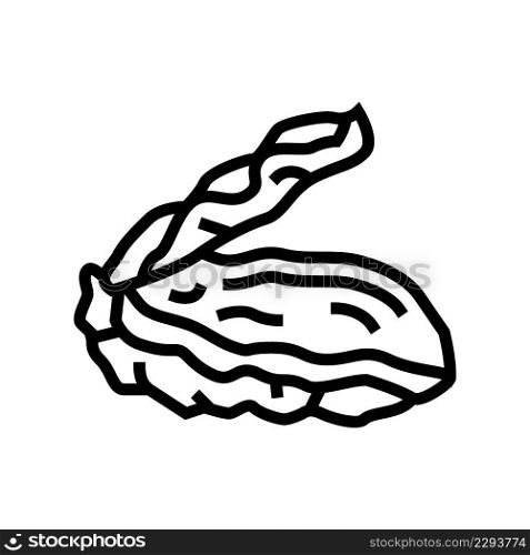 oyster opened shell line icon vector. oyster opened shell sign. isolated contour symbol black illustration. oyster opened shell line icon vector illustration