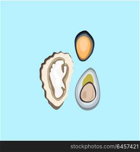 Oysters Variations Vector Illustration. Oysters patterns in color. Seafood concept icons in flat style design. Vector illustration fresh sea oyster. Healthy eating marine products.