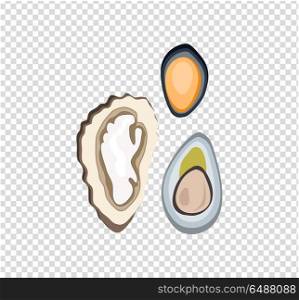 Oysters Variations Vector Illustration. Oysters variations vector illustration concept flat design