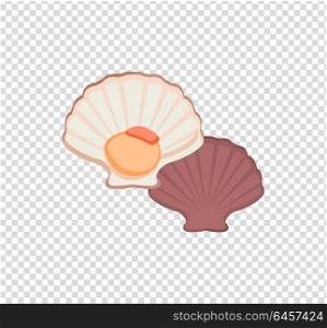 Oysters Vector Illustration. Oysters in colour variant. Seafood concept icons in flat style design. Vector illustration fresh deep-sea oyster. Beautiful shell pearl mussels.