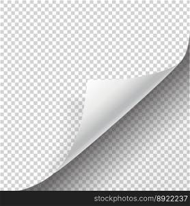 Page curl with shadow and blank sheet of paper vector image