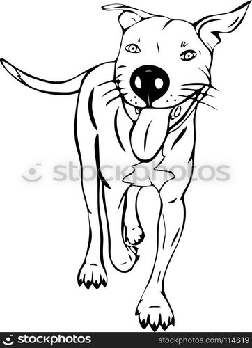 painted cartoon dog American pit bull stuck out his tongue, outline vector illustration isolated on white background