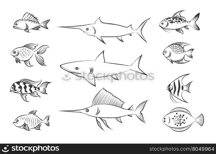 Painted fishes. Shark and swordfish, flounder and carp. Hand drawn fish set vector illustration