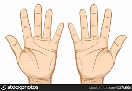 Pair hands (palm) isolated on white background.