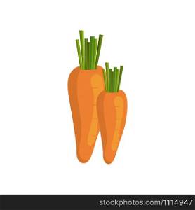 Pair of carrots, cartoon vector illustration
