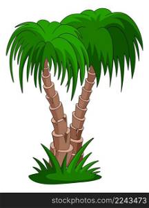 Pair of palms. Exotic resort tree in cartoon style. Vector illustration. Pair of palms. Exotic resort tree in cartoon style