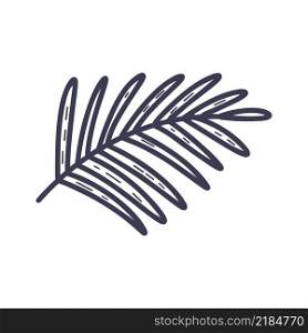 Palm branch isolated doodle style