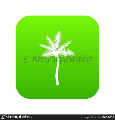 Palm butia capitata icon digital green for any design isolated on white vector illustration. Palm butia capitata icon digital green