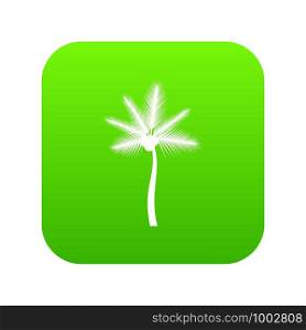Palm butia capitata icon digital green for any design isolated on white vector illustration. Palm butia capitata icon digital green