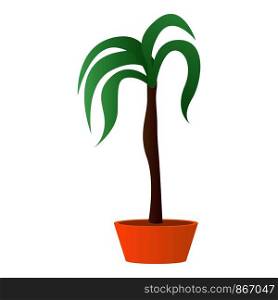 Palm houseplant icon. Cartoon of palm houseplant vector icon for web design isolated on white background. Palm houseplant icon, cartoon style