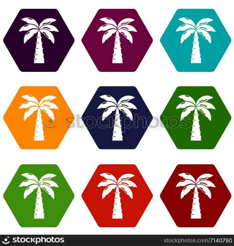 Palm icons 9 set coloful isolated on white for web. Palm icons set 9 vector