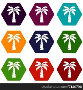 Palm icons 9 set coloful isolated on white for web. Palm icons set 9 vector