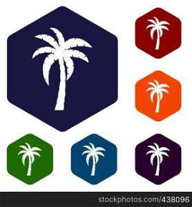 Palm icons set hexagon isolated vector illustration. Palm icons set hexagon
