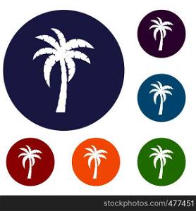 Palm icons set in flat circle red, blue and green color for web. Palm icons set