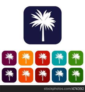 Palm icons set vector illustration in flat style In colors red, blue, green and other. Palm icons set