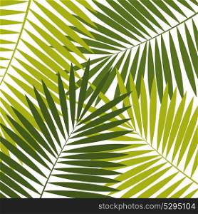 Palm Leaf Background Isolateed Vector Illustration EPS10. Palm Leaf Background Vector Illustration